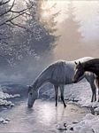 pic for snow horse